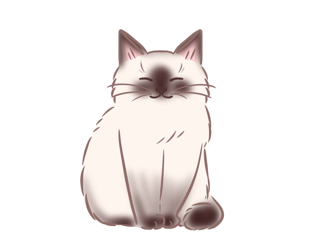 シャム猫