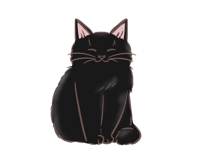 黒猫
